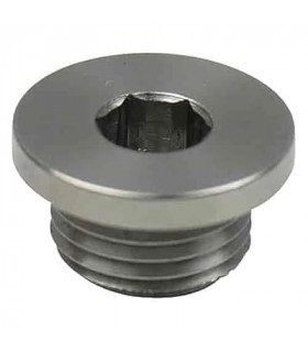 TiAL Sport MVS /  MVR Plug