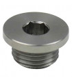 TiAL Sport MVS /  MVR Plug