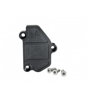 Skunk2 B-Series VTEC Black Anodized Block Off Plate