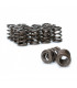 Skunk2 Tuner Series Honda/Acura (B16A/ B17A/ B18C) DOHC VTEC Alpha Valve Spring Set (Dual Springs)