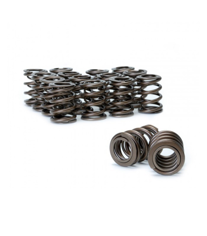 Skunk2 Tuner Series Honda/Acura (K20/K24/F20C/F22C) DOHC VTEC Alpha Valve Spring Set (Dual Springs)