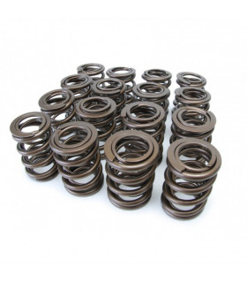 Skunk2 Tuner Series Honda/Acura (K20/K24/F20C/F22C) DOHC VTEC Alpha Valve Spring Set (Dual Springs)