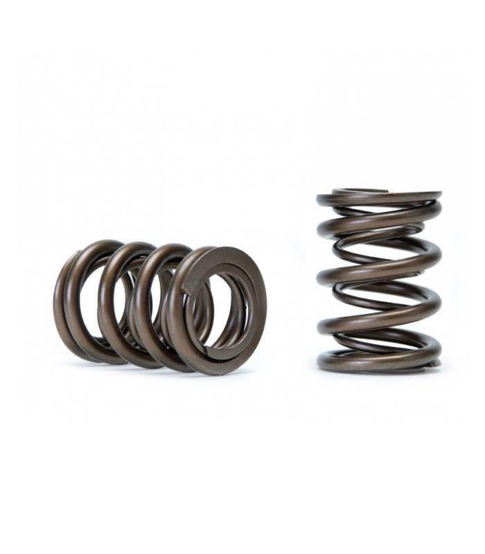 Skunk2 Tuner Series Honda/Acura (K20/K24/F20C/F22C) DOHC VTEC Alpha Valve Spring Set (Dual Springs)