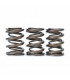 Skunk2 Tuner Series Honda/Acura (K20/K24/F20C/F22C) DOHC VTEC Alpha Valve Spring Set (Dual Springs)