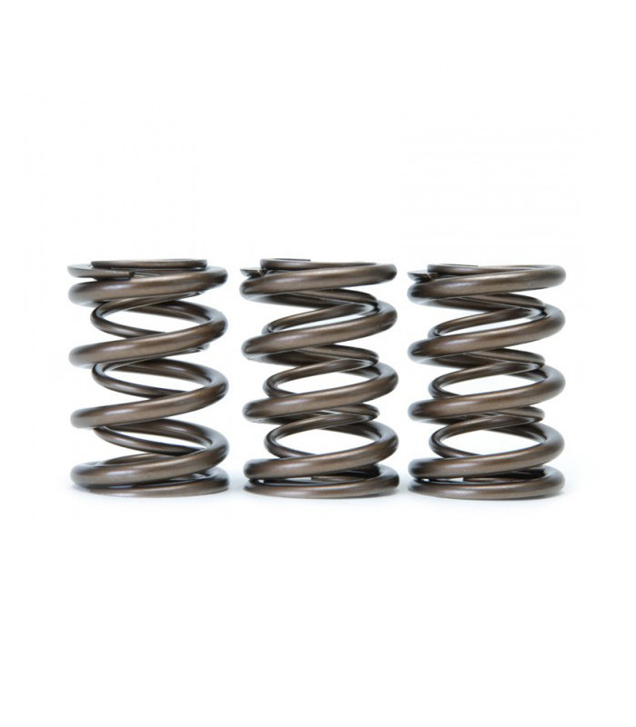 Skunk2 Tuner Series Honda/Acura (K20/K24/F20C/F22C) DOHC VTEC Alpha Valve Spring Set (Dual Springs)
