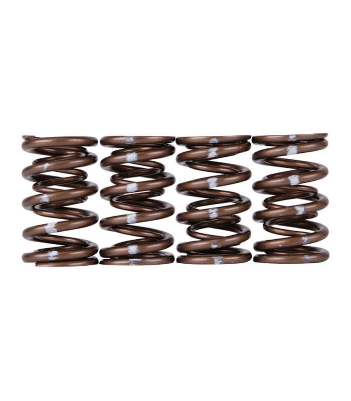 Skunk2 Pro Series Honda/Acura B-Series VTEC XP Valve Spring Set (Dual Springs)