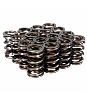 Skunk2 Pro Series Honda/Acura B-Series VTEC XP Valve Spring Set (Dual Springs)