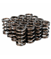 Skunk2 Pro Series Honda/Acura K-Series i-VTEC XP Valve Spring Set (Dual Springs)