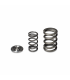 Skunk2 Alpha Series Honda/Acura H Series Valve Spring and Titanium Retainer Kit