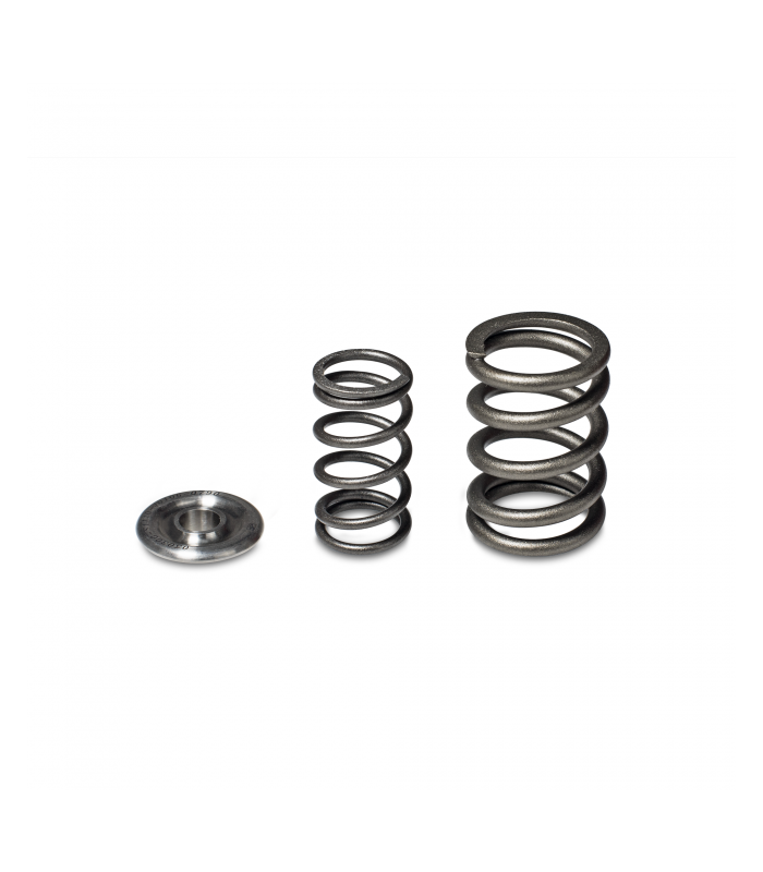 Skunk2 Alpha Series Honda/Acura H Series Valve Spring and Titanium Retainer Kit