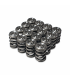 Skunk2 Alpha Series Honda/Acura H Series Valve Spring and Titanium Retainer Kit