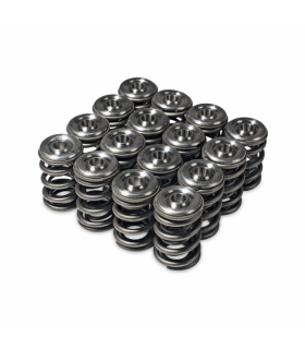 Skunk2 Alpha Series Honda/Acura H Series Valve Spring and Titanium Retainer Kit