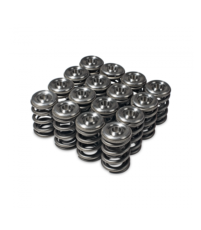 Skunk2 Alpha Series Honda/Acura H Series Valve Spring and Titanium Retainer Kit