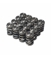 Skunk2 Alpha Series Honda/Acura H Series Valve Spring and Titanium Retainer Kit